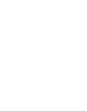 Werner Paddles